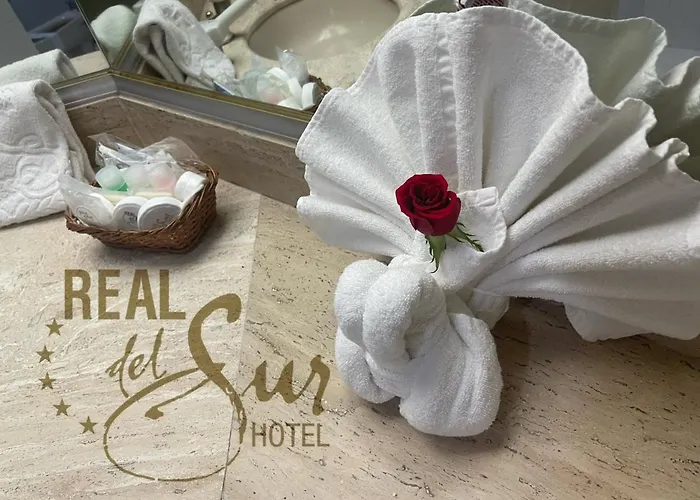 Real Del Sur Hotel
