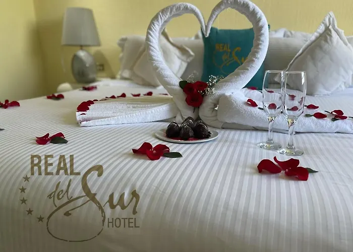 Real Del Sur Hotel