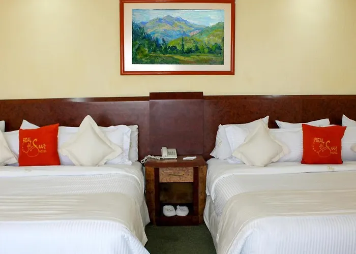 Hotel Real Del Sur 4*